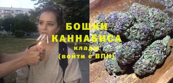 индика Вязники