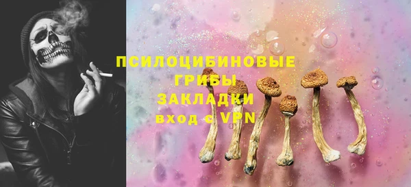 spice Вяземский