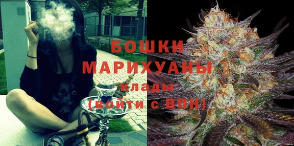 spice Вяземский