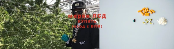сатива Вязьма