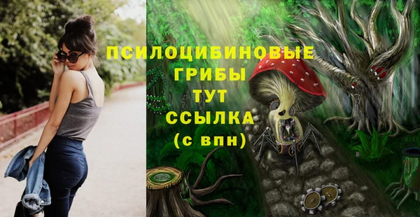 сатива Вязьма