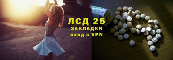 индика Вязники