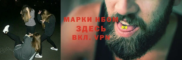 сатива Вязьма