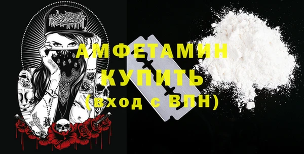 индика Вязники