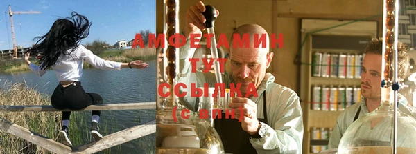 индика Вязники