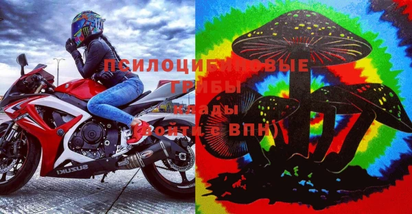 сатива Вязьма