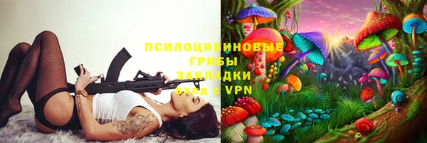 сатива Вязьма
