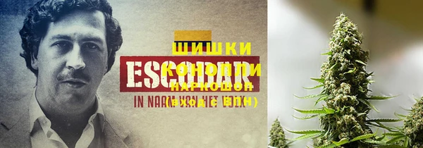 spice Вяземский