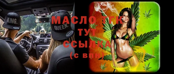 индика Вязники