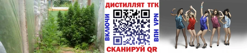 Дистиллят ТГК THC oil  mega как зайти  Чёрмоз 